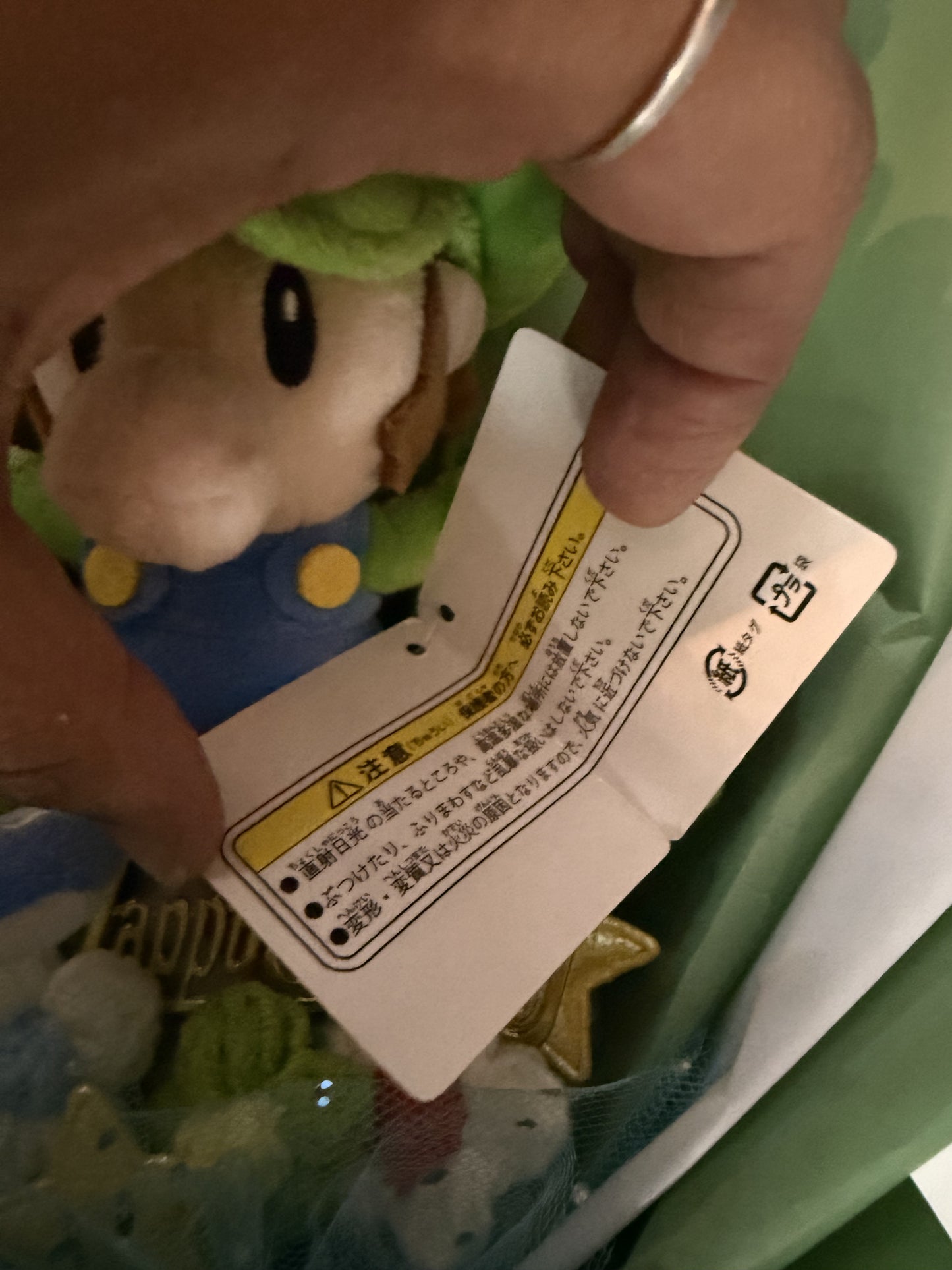 Luigi Custom Nintendo Green Bouquet for Hannah