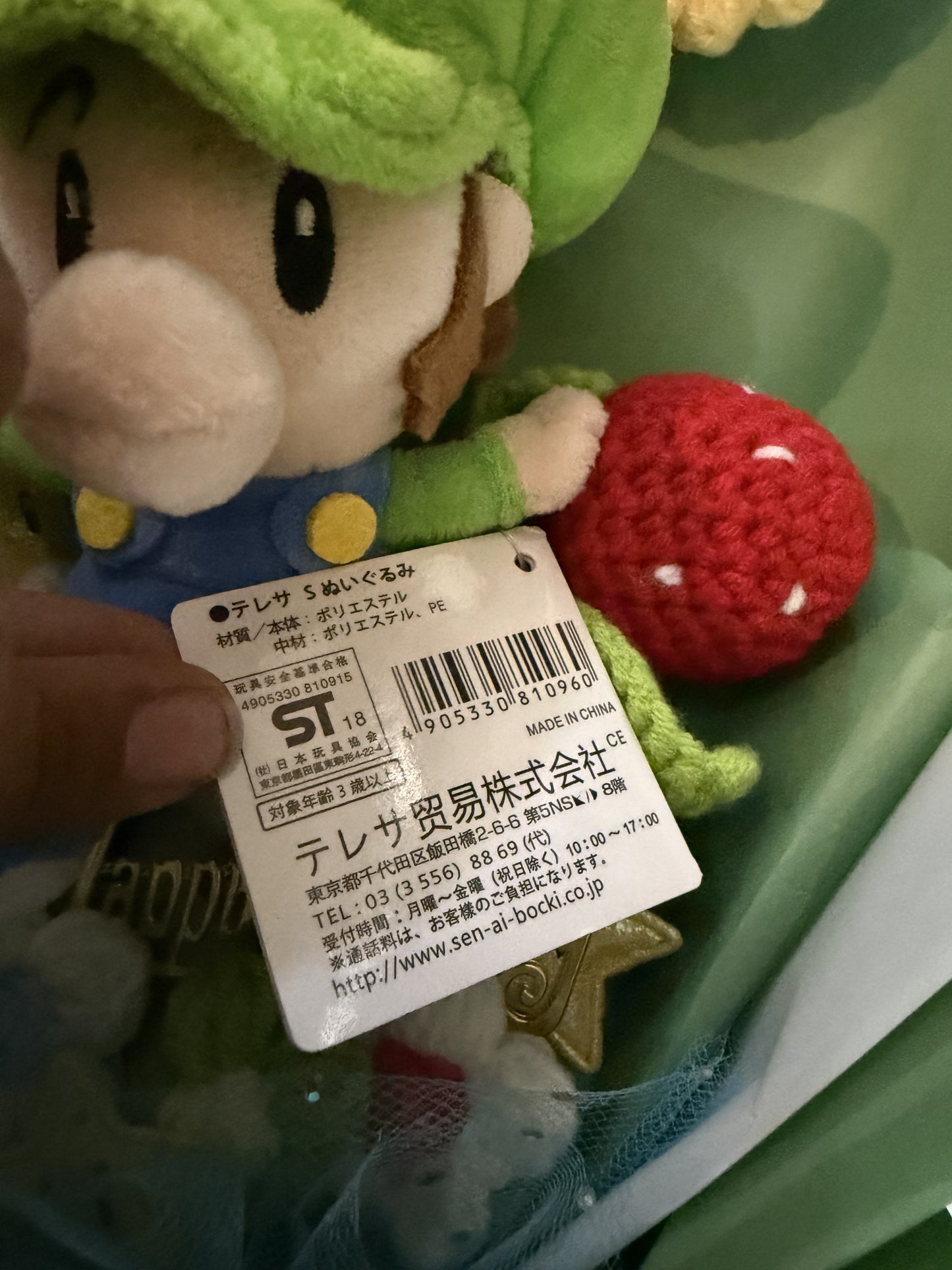 Luigi Custom Nintendo Green Bouquet for Hannah
