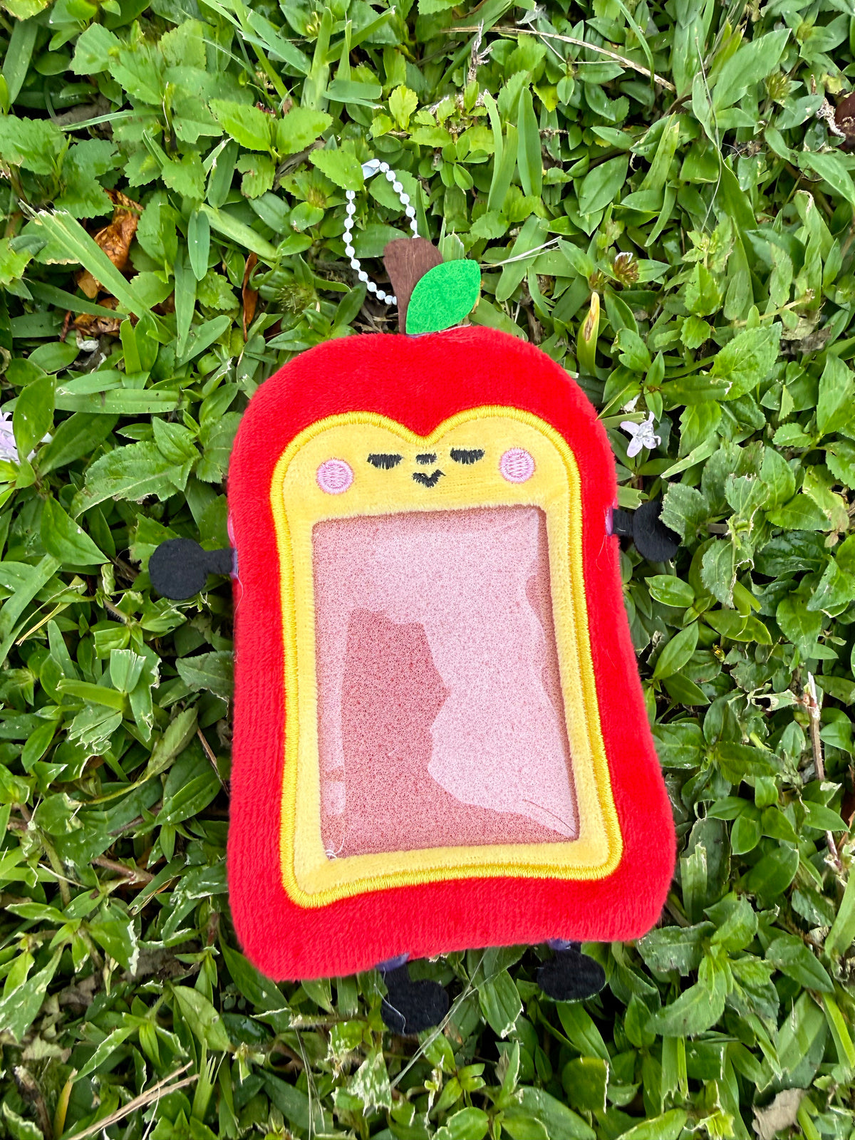 LAD Mascot Photocard Keychain